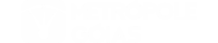 Portal Metrópole Goiás